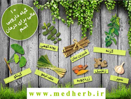 10 گیاه دارویی عالی برای درمان آسم