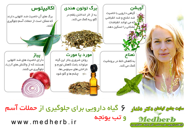 6 گیاه دارویی آسم برای جلوگیری از بیماری آسم - گیاهان دارویی دکتر دلدار