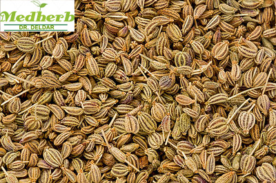 درمان خانگی آسم - دانه کاروم - گیاهان دارویی دکتر دلدار - medherb.ir