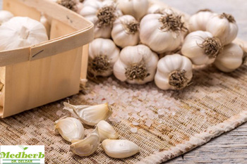 گیاهان دارویی آسم - (12 گیاه موثر علیه حمله آسم) - گیاهان دارویی دکتر دلدار