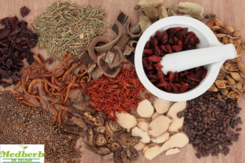 گیاهان دارویی آسم - (12 گیاه موثر علیه حمله آسم) - گیاهان دارویی دکتر دلدار