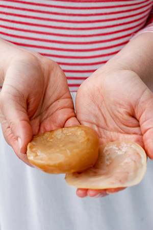 طرز تهیه کامبوجا (کومبوچا)