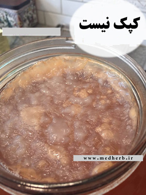 کپک کامبوجا - علایم کپک