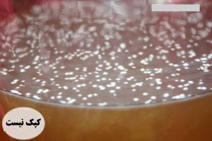 کپک کامبوجا - علایم کپک