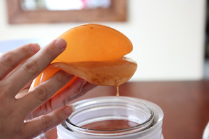 نگهداری و ذخیره سازی کامبوجا (کومبوچا)